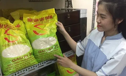 Miễn thuế 9 loại gạo Việt xuất châu Âu, không có ST25