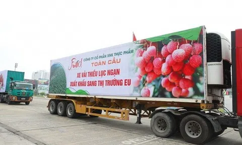 Thương mại điện tử: Tận dụng cơ hội đưa nông sản Việt vươn xa